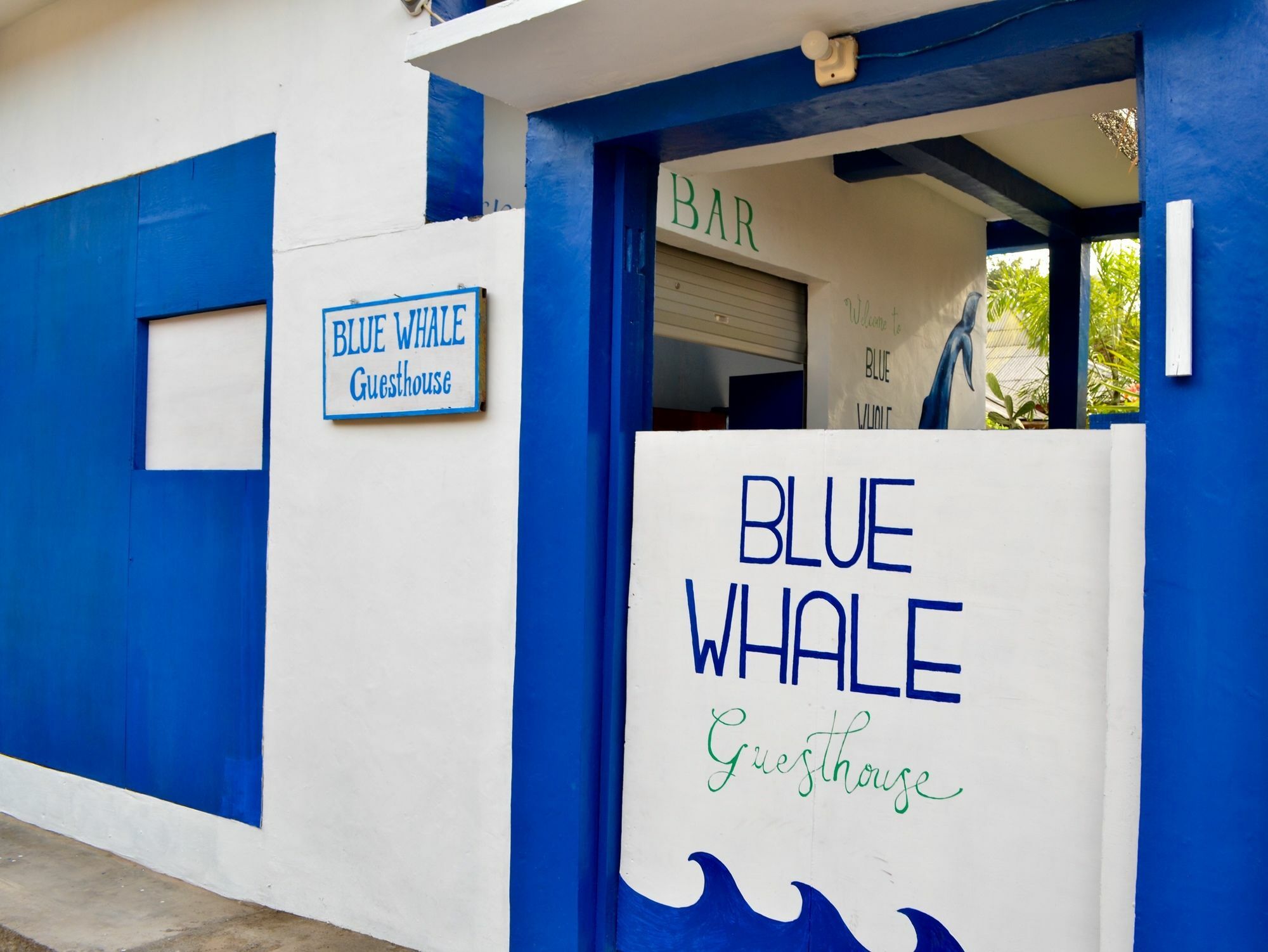 Blue Whale Guesthouse Джили Трауанган Екстериор снимка